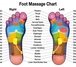 https://www.penthaimassage.com/wp-content/uploads/2018/05/Foot-Reflexology-Chart-1-250x220.jpg